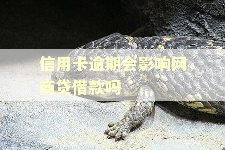 信用卡逾期会影响网商贷借款吗