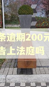 白条逾期200元会被告上法庭吗