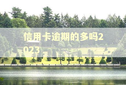信用卡逾期的多吗2023