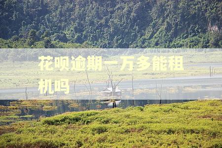 花呗逾期一万多能租机吗