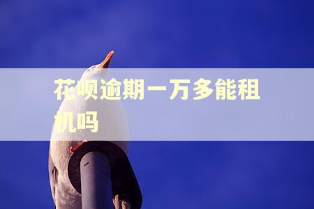 花呗逾期一万多能租机吗