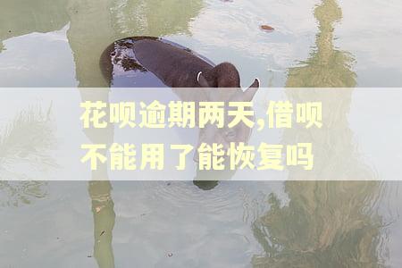 花呗逾期两天,借呗不能用了能恢复吗