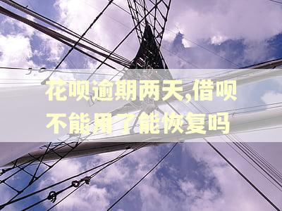 花呗逾期两天,借呗不能用了能恢复吗
