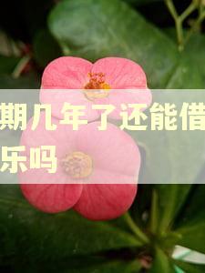 逾期几年了还能借分期乐吗 逾期几年了还能借分期乐吗