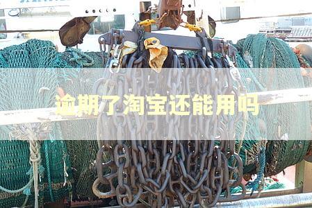 逾期了淘宝还能用吗