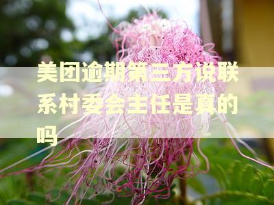 美团逾期第三方说联系村委会主任是真的吗 美团逾期第三方说联系村委会主任是真的吗