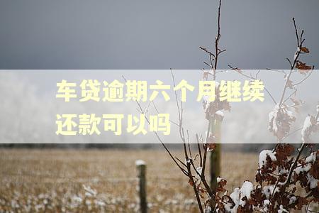 车贷逾期六个月继续还款可以吗