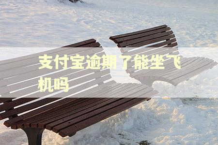 支付宝逾期了能坐飞机吗
