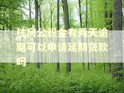 住房公积金有两天逾期可以申请延期贷款吗 住房公积金有两天逾期可以申请延期贷款吗