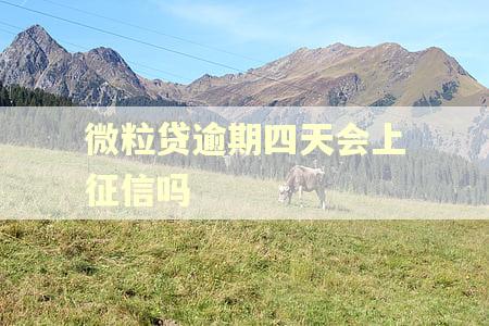 微粒贷逾期四天会上征信吗