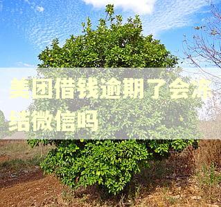 美团借钱逾期了会冻结微信吗