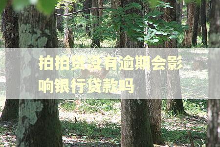 拍拍贷没有逾期会影响银行贷款吗