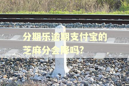 分期乐逾期支付宝的芝麻分会降吗?
