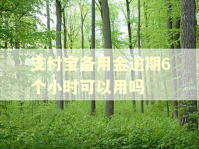 支付宝备用金逾期6个小时可以用吗