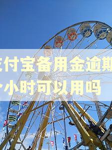 支付宝备用金逾期6个小时可以用吗