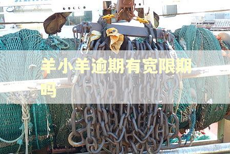 羊小羊逾期有宽限期吗 羊小羊逾期有宽限期吗