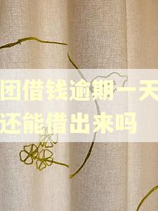 美团借钱逾期一天还上还能借出来吗