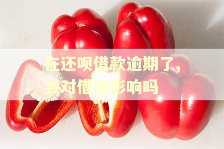 在还呗借款逾期了,会对借呗影响吗