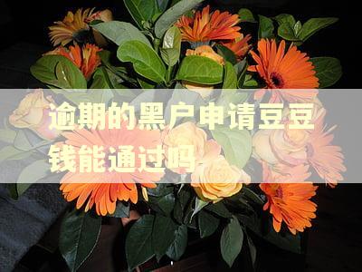 逾期的黑户申请豆豆钱能通过吗