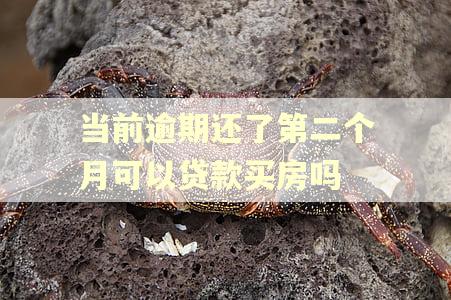 当前逾期还了第二个月可以贷款买房吗