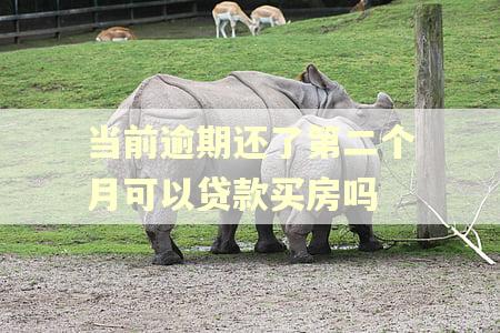 当前逾期还了第二个月可以贷款买房吗 当前逾期还了第二个月可以贷款买房吗