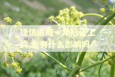 捷信逾期一年后还上的,会有什么影响吗