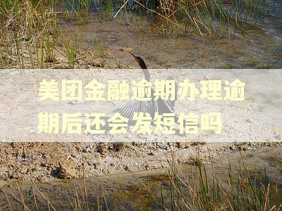 美团金融逾期办理逾期后还会发短信吗
