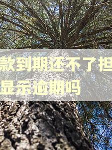 贷款到期还不了担保人显示逾期吗