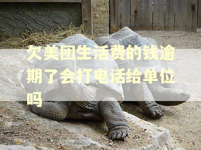 欠美团生活费的钱逾期了会打电话给单位吗