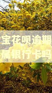 支付宝花呗逾期可以帮亲属银行卡吗