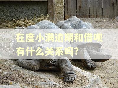 在度小满逾期和借呗有什么关系吗?