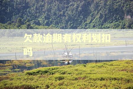 欠款逾期有权利划扣吗