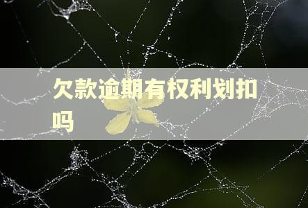 欠款逾期有权利划扣吗