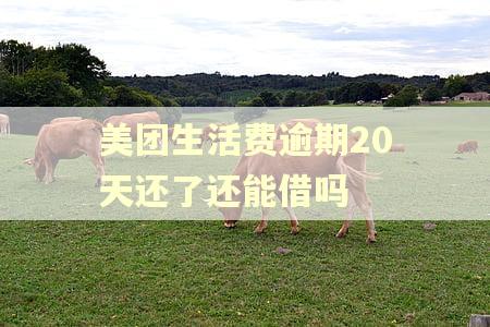 美团生活费逾期20天还了还能借吗