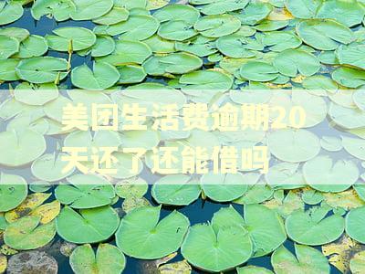 美团生活费逾期20天还了还能借吗 美团生活费逾期20天还了还能借吗