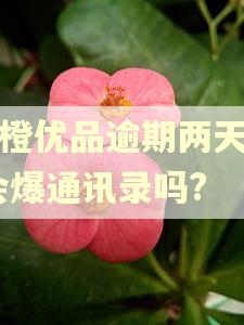 新橙优品逾期两天了,会爆通讯录吗? 新橙优品逾期两天了,会爆通讯录吗?