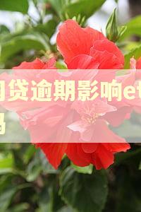 网贷逾期影响etc吗