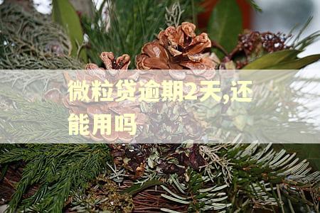 微粒贷逾期2天,还能用吗