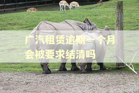广汽租赁逾期一个月会被要求结清吗