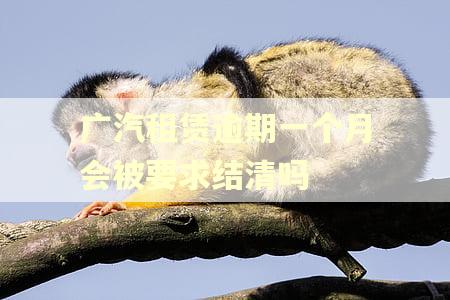 广汽租赁逾期一个月会被要求结清吗