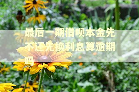 最后一期借呗本金先不还先换利息算逾期吗 最后一期借呗本金先不还先换利息算逾期吗
