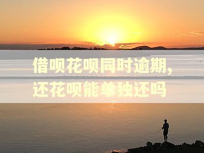 借呗花呗同时逾期,还花呗能单独还吗