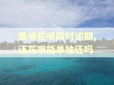 借呗花呗同时逾期,还花呗能单独还吗