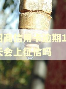 招商信用卡逾期10天会上征信吗