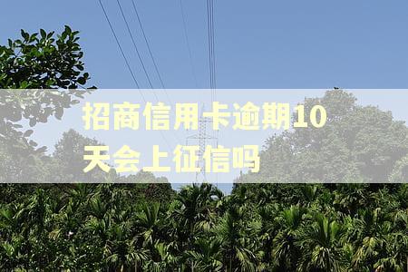 招商信用卡逾期10天会上征信吗