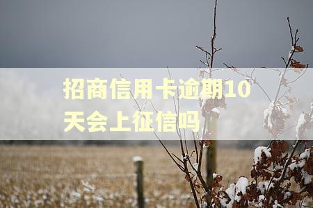 招商信用卡逾期10天会上征信吗