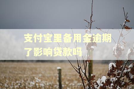 支付宝里备用金逾期了影响贷款吗