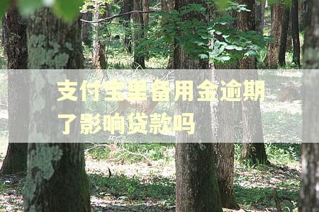 支付宝里备用金逾期了影响贷款吗 支付宝里备用金逾期了影响贷款吗