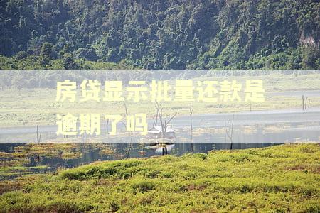 房贷显示批量还款是逾期了吗