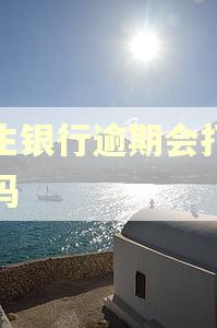 民生银行逾期会打电话吗